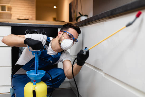 Best Flea Control Services  in Mentor, OH