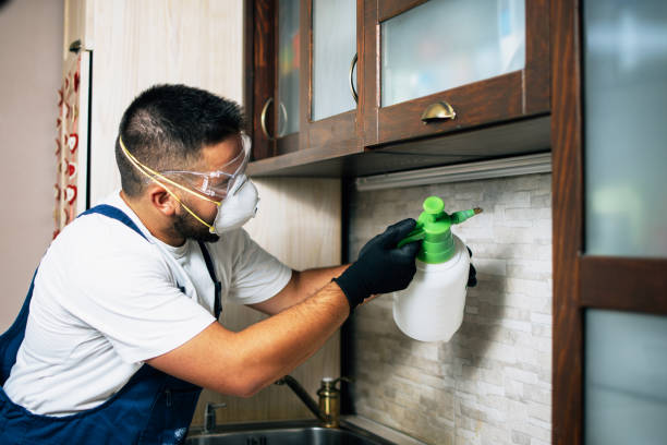 Best Local Pest Control Services  in Mentor, OH