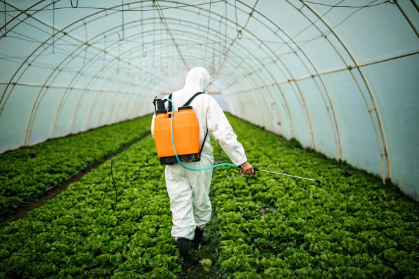 Best Emergency Pest Control  in Mentor, OH