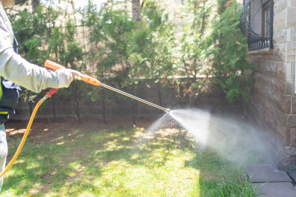 Bird Control in Mentor, OH