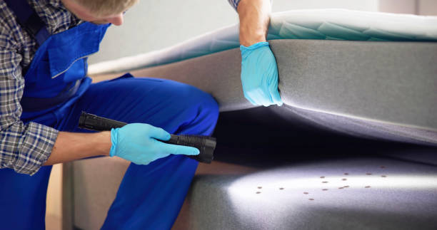 Best Best Pest Control Companies  in Mentor, OH