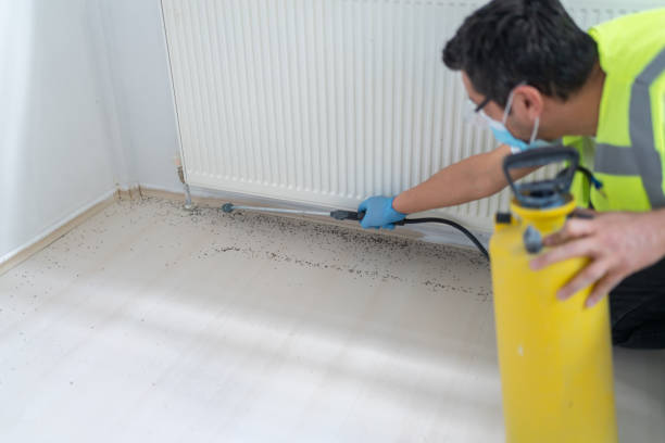 Best Rat Extermination Near Me  in Mentor, OH
